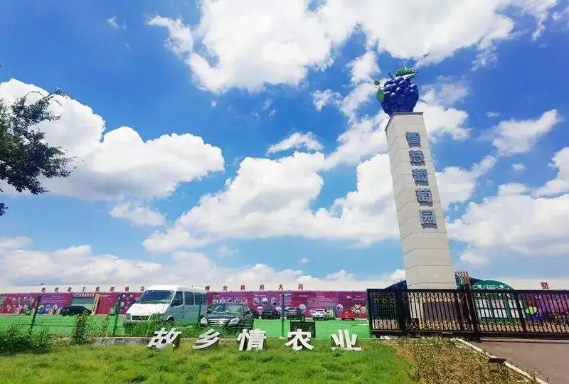 图片7.png